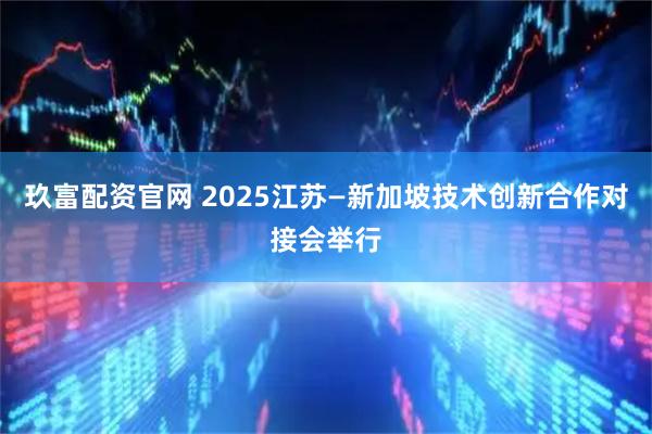 玖富配资官网 2025江苏—新加坡技术创新合作对接会举行