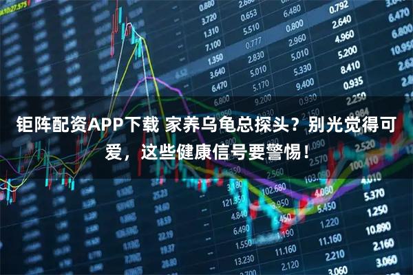 钜阵配资APP下载 家养乌龟总探头?别光觉得可爱,这些健康信号要警惕!