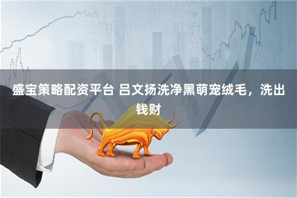 盛宝策略配资平台 吕文扬洗净黑萌宠绒毛,洗出钱财