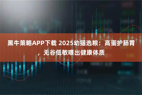 黑牛策略APP下载 2025幼猫选粮:高蛋护肠胃,无谷低敏喂出健康体质