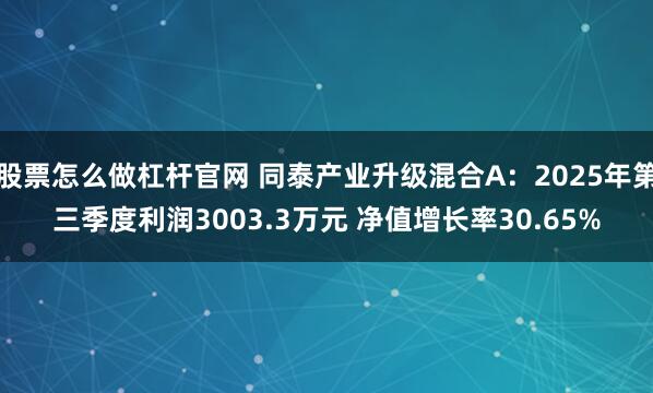 股票怎么做杠杆官网 同泰产业升级混合A:2025年第三季度利润3003.3万元 净值增长率30.65%