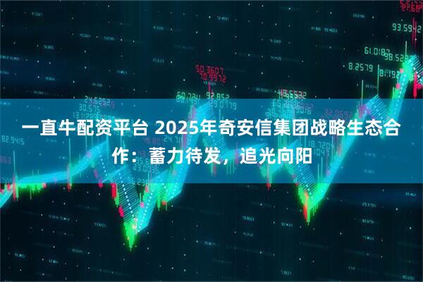 一直牛配资平台 2025年奇安信集团战略生态合作:蓄力待发,追光向阳