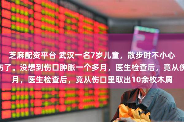 芝麻配资平台 武汉一名7岁儿童,散步时不小心摔到花坛里,把脸划伤了。没想到伤口肿胀一个多月,医生检查后,竟从伤口里取出10余枚木屑